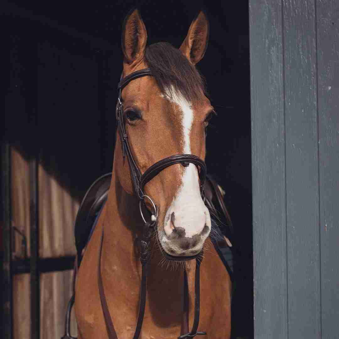 دانلود آهنگ پسر بد منم دختر بد تو