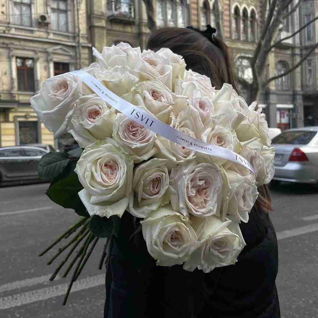 دانلود آهنگ همه جا هم چراغونه وای پلس دنبالمونه