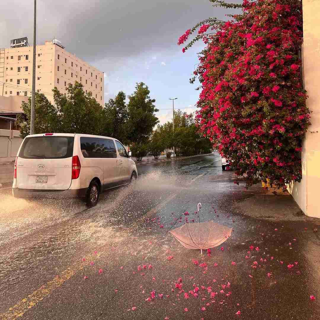 دانلود آهنگ دور من همچی بود هنوزم همچی هست یه روزم هیچی نباشه خود من همچی ام