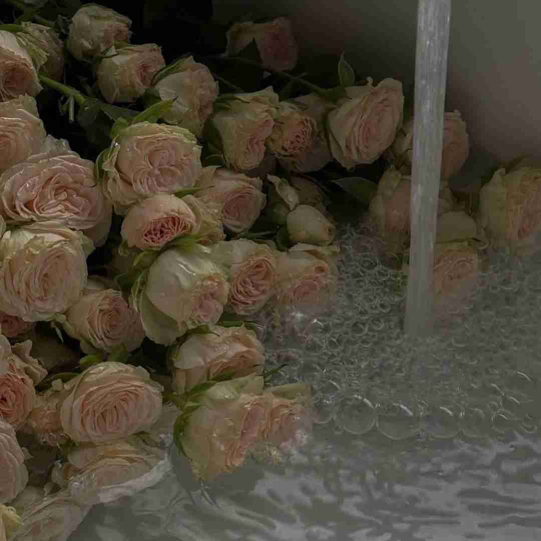 دانلود آهنگ تصویر اولین خنده های عشقم که هدیه ای شد برای مردمک چشمم 