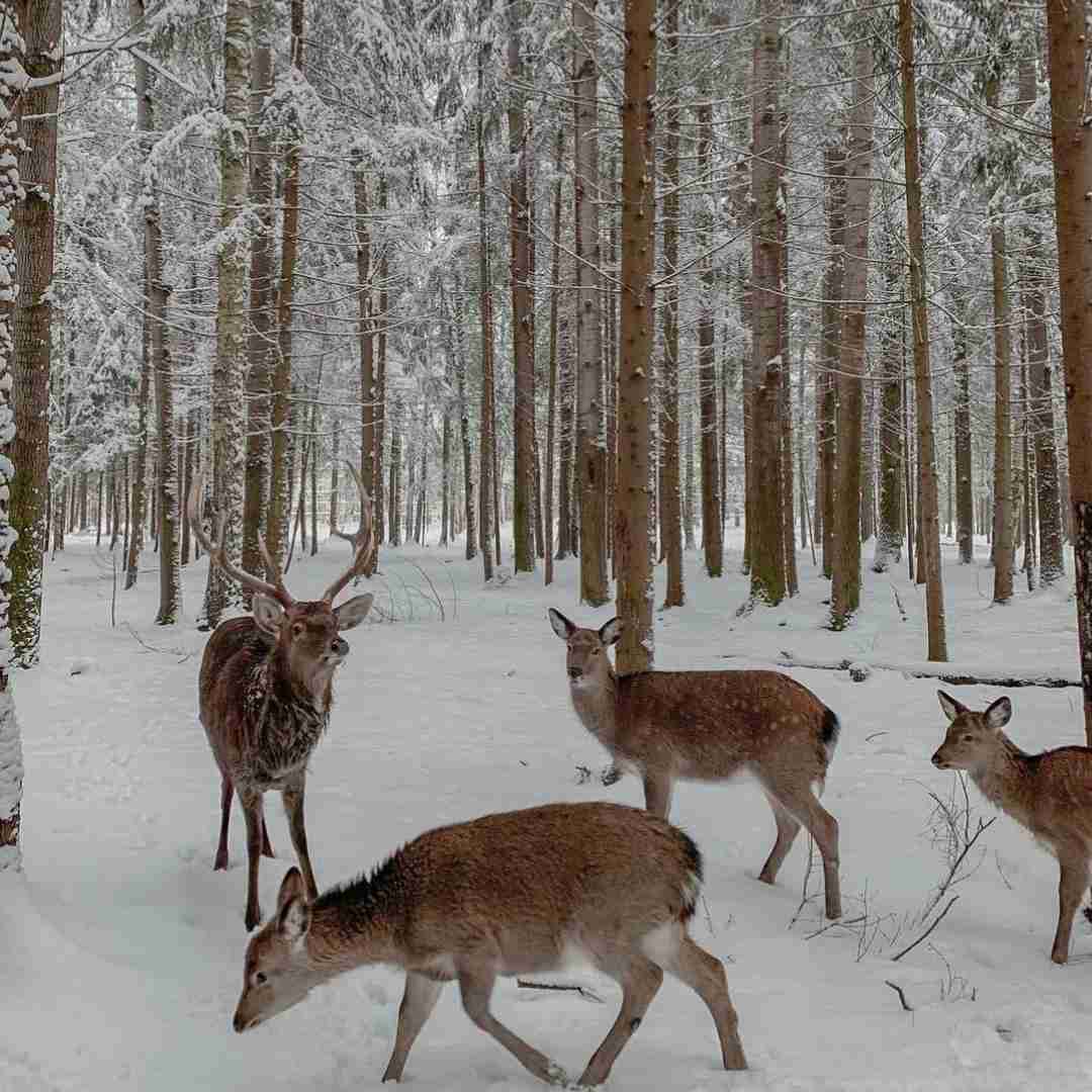 دانلود آهنگ خیلی وقته ندارم هیچ حس خاصی میخوام به دنیا بگم