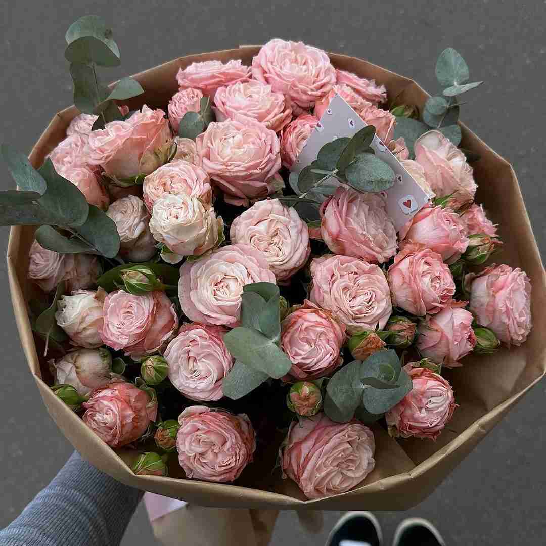 دانلود آهنگ عشق یعنی بغلم باشی درکم کنی بلدم باشی 