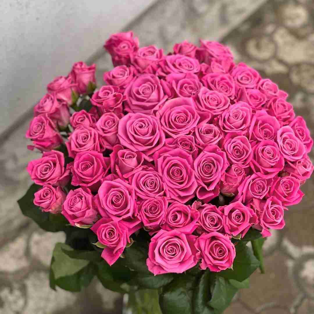 دانلود آهنگ فرشته ها واسم خواب دیدن دنیا رو دارم من تاب می دم