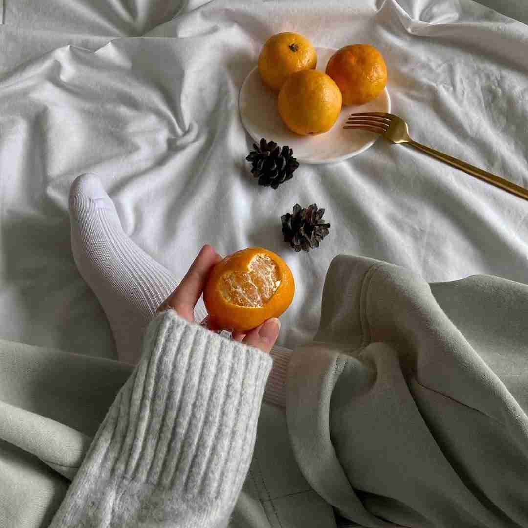 دانلود آهنگ میو میو گربه واسه ما لوسه واسه تو گرگه 