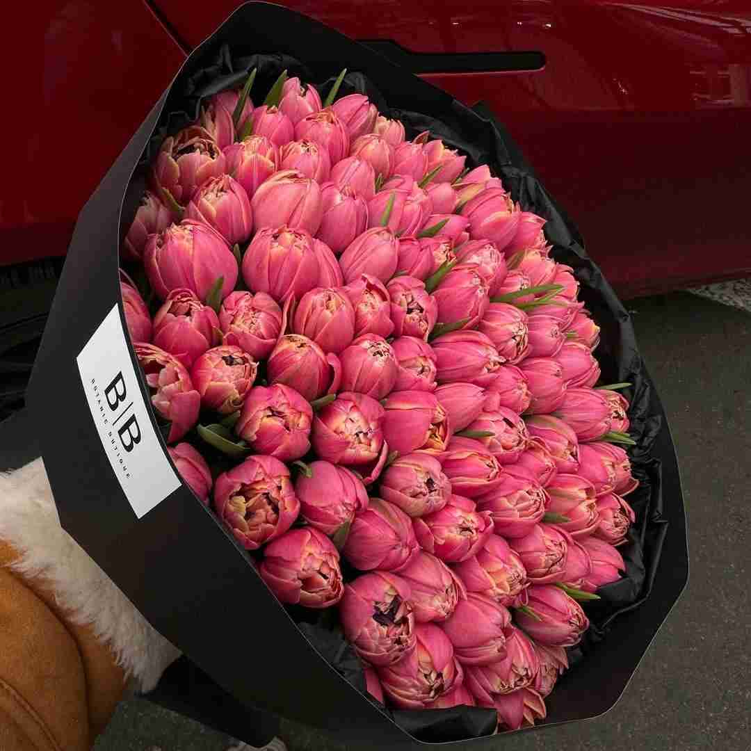 دانلود آهنگ عربی ماریده لا 