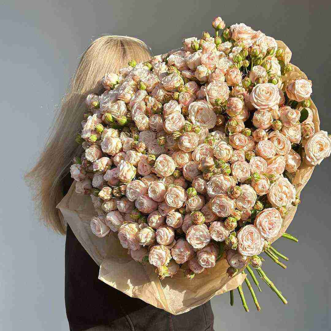 دانلود آهنگ روز توی روپوش کجام کجام شب ولی رو ماه رو ماه رو ماه 