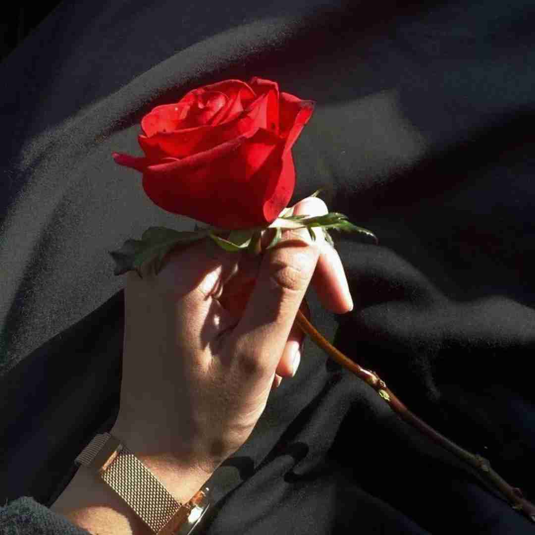 دانلود آهنگ ستاره بارونه تو میدون چه درب و داغونه تو میدون