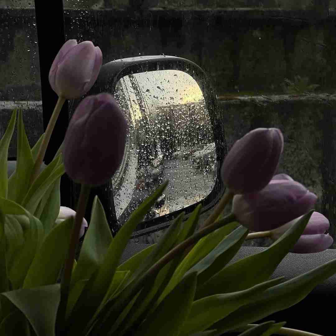 دانلود آهنگ دارم قد روزای بد الان کارمند از بچه های بی سرپرست تا کلی سالمند 