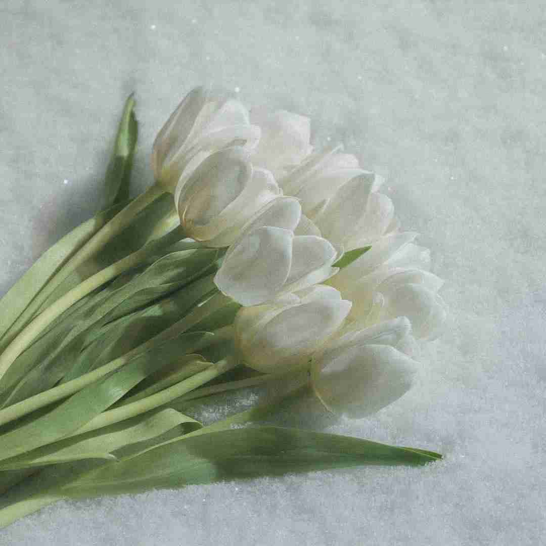 دانلود آهنگ نشد بگم سال بعد این واسه زندگیمه