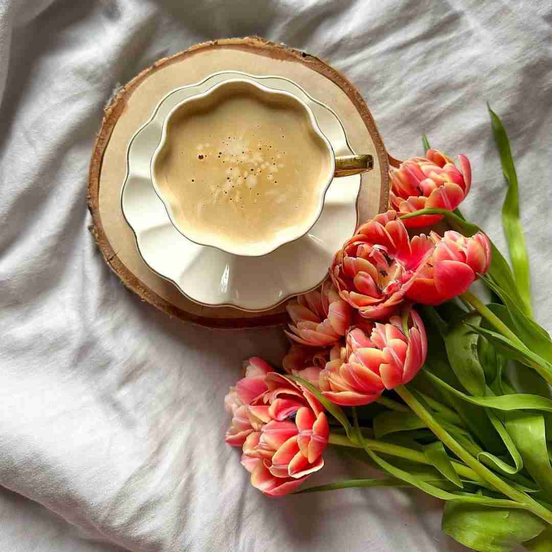 دانلود آهنگ  ای بی خبر از حال بیمارم رفتی و خود را به که بسپارم 