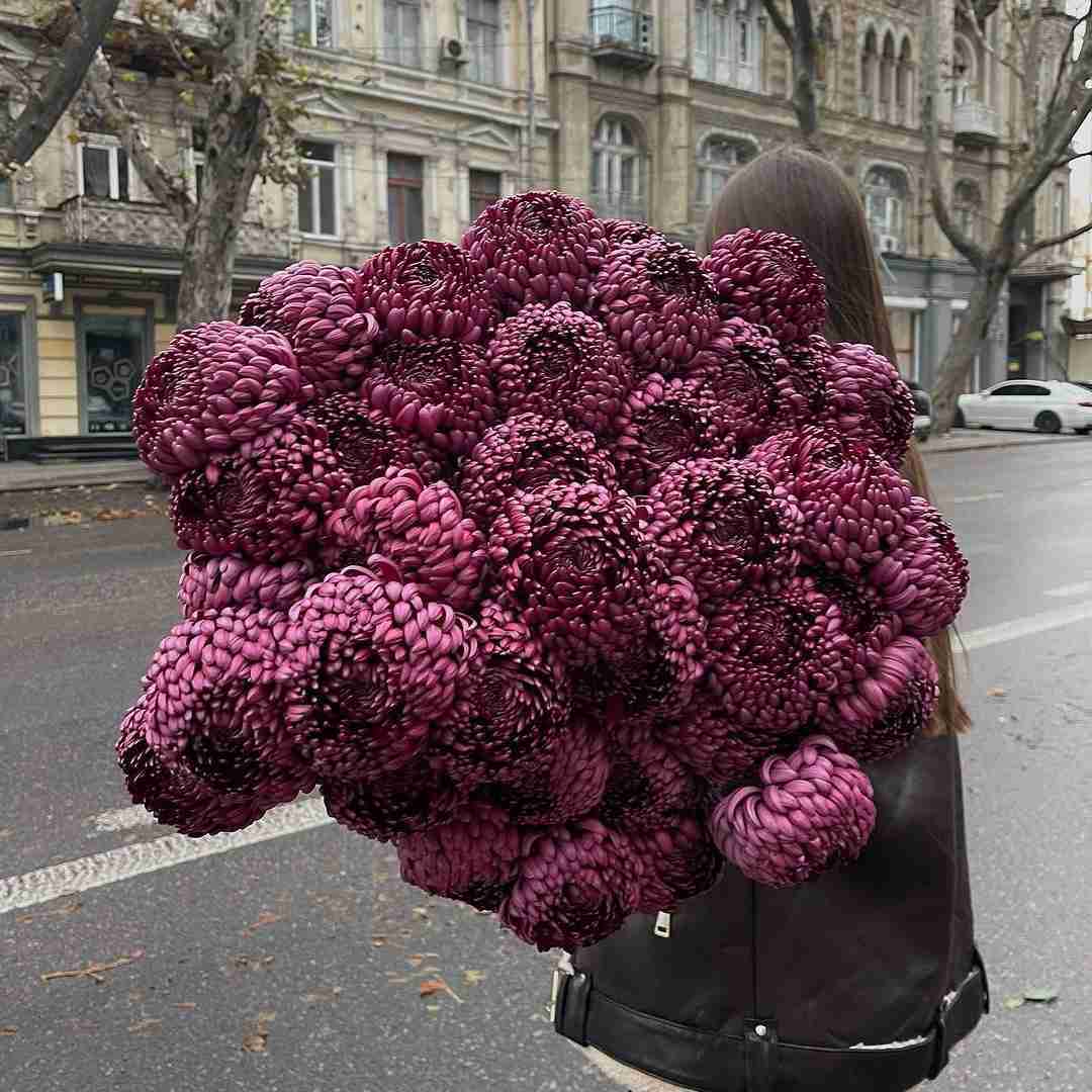 دانلود آهنگ پروندم زیاده اندازه سریال میخوری چک پهن جلو رفیقات