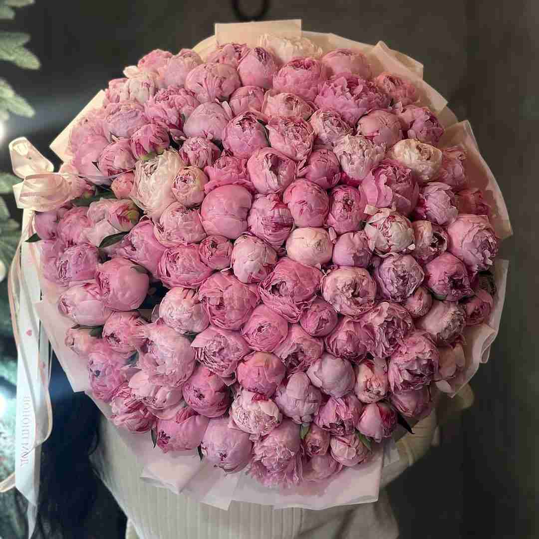 دانلود آهنگ میدونم یه دیوونم من بدون تو نمیتونم 