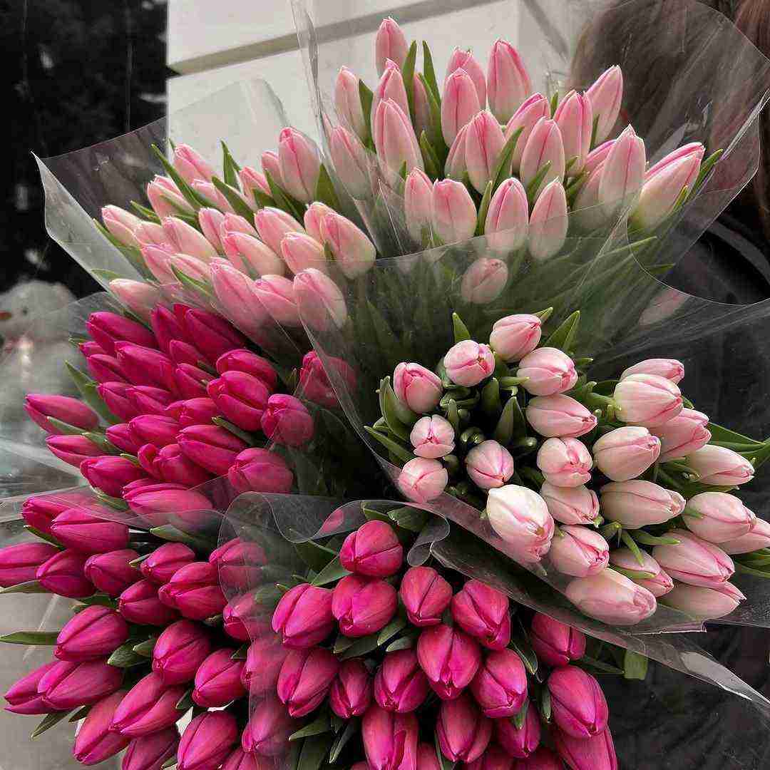 دانلود آهنگ زیر چشی منو نپا سرم درد میکنه برا دعوا