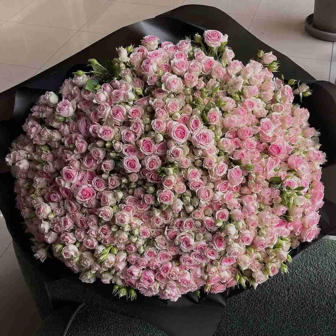 دانلود آهنگ لاشی خوشحالی که الان با توئه تو پیویم کلی آتوئه