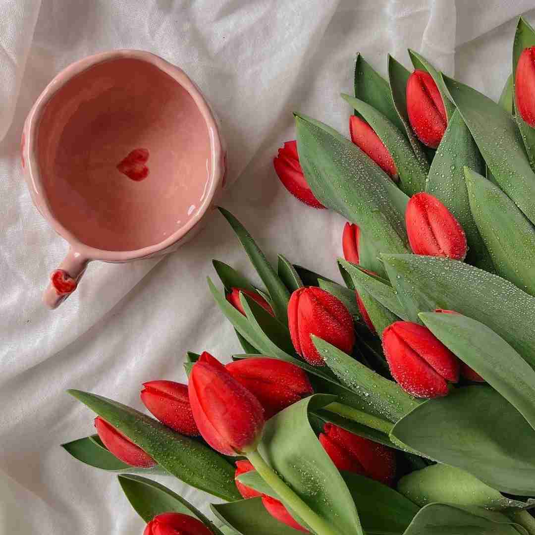 دانلود آهنگ ضربه زدی وقتی گاردم پایین اومده بود جلوت 