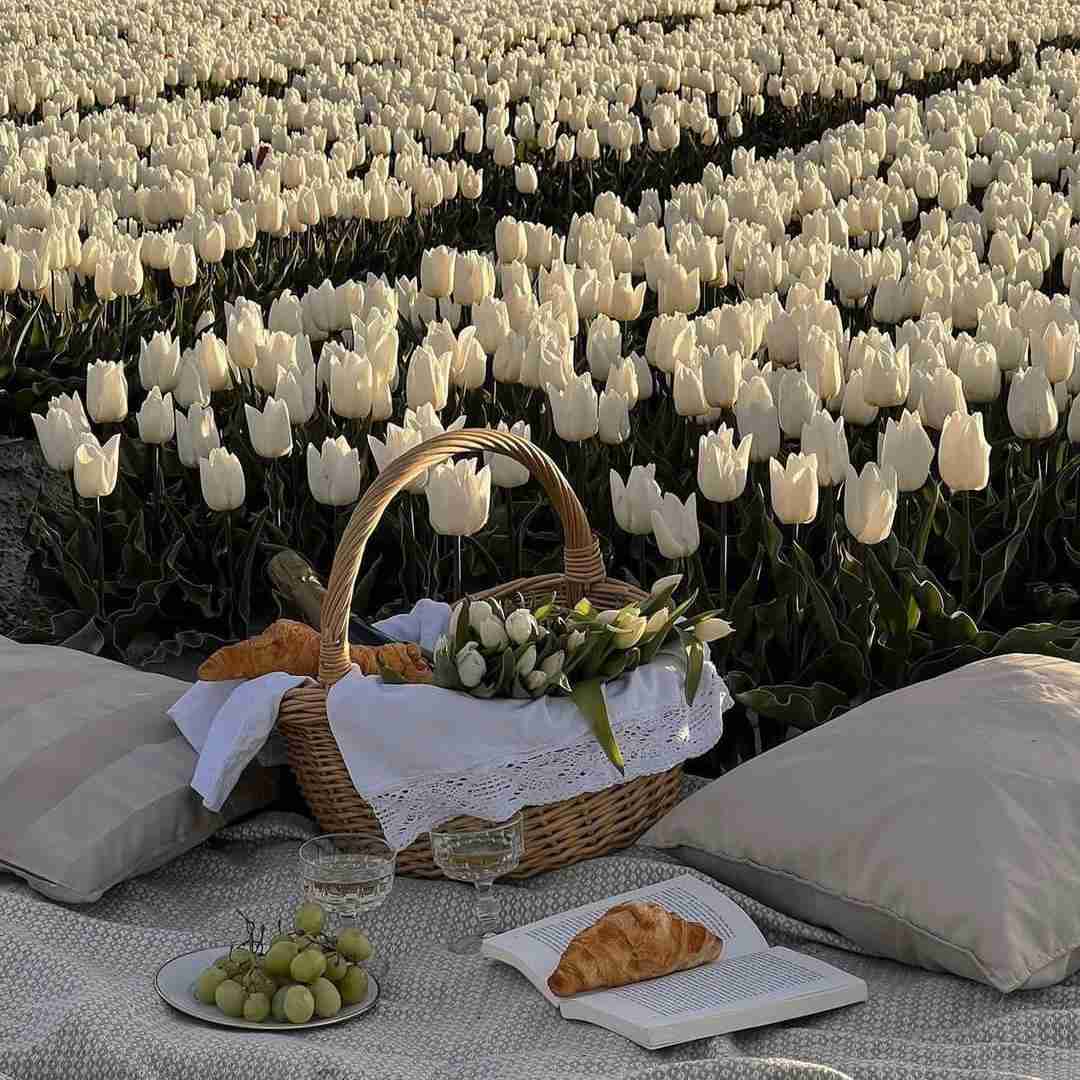 دانلود آهنگ آدما عوضین تو عوضی تر تو آدم نبودی که بخوای عوض بشی بعد 