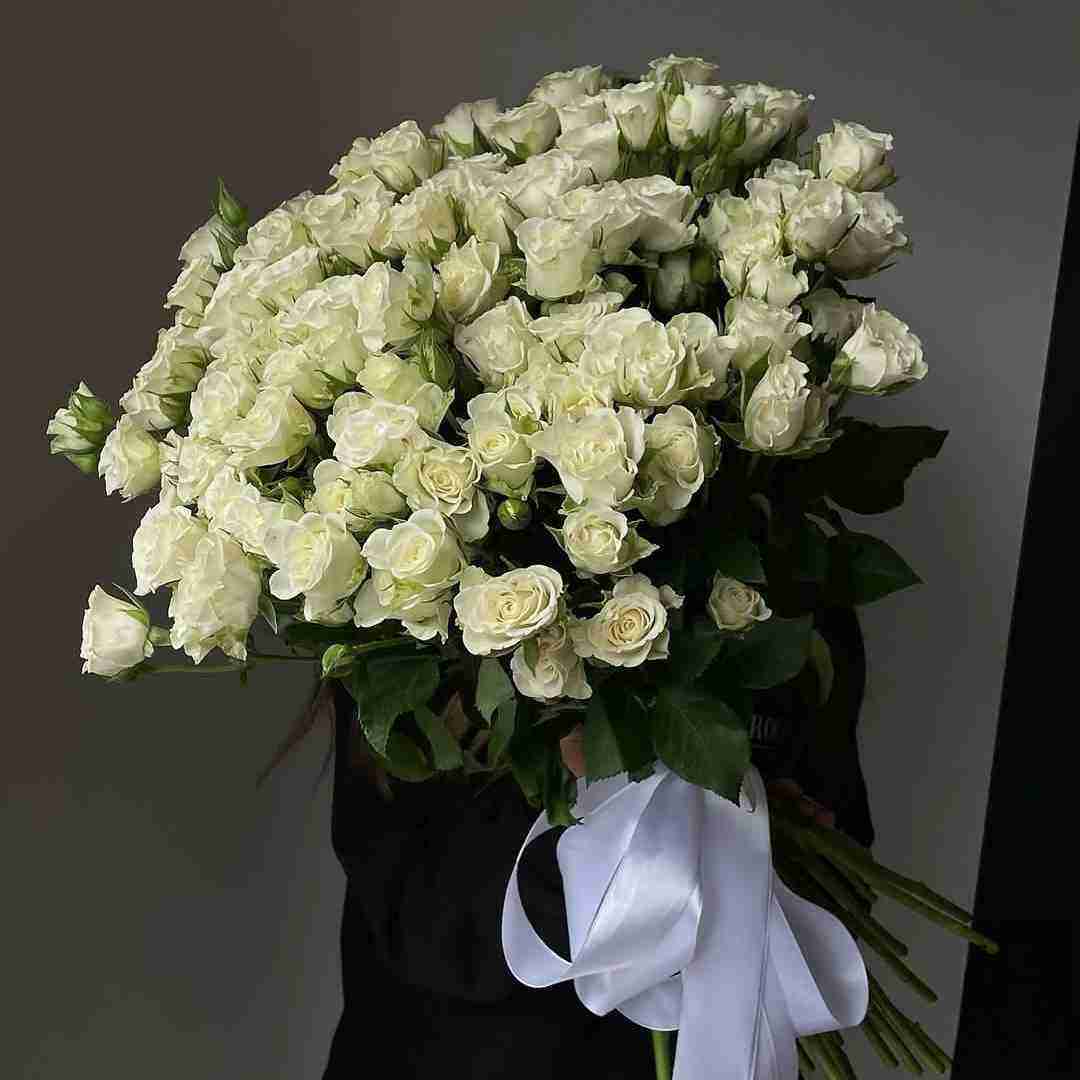 دانلود آهنگ سر شبی عروسک من تو دل مامان و بابا خودشو جا می کنه