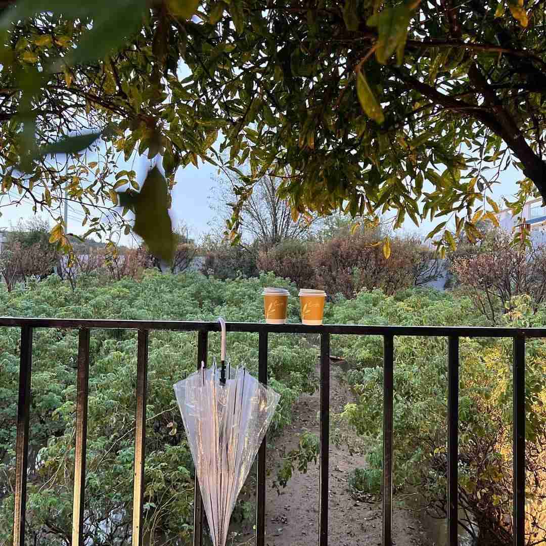 دانلود آهنگ میپرم از خواب قبلی میمیرم هر بار تو خواب بعد 