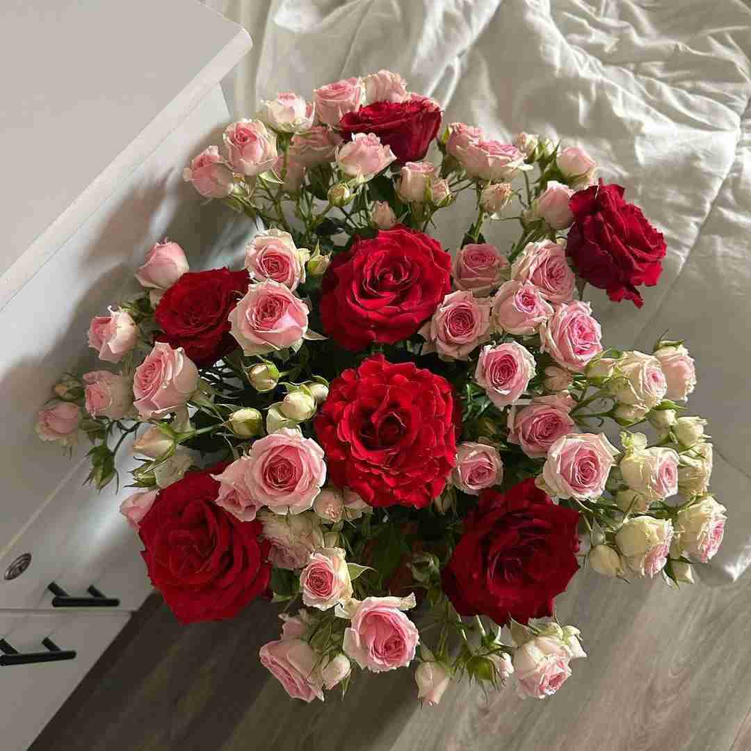 دانلود آهنگ نمی کنیم اکسپت میخوری به دره بسته