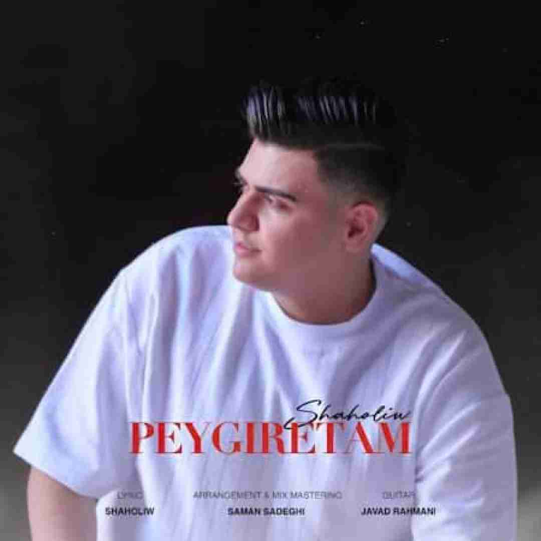 دانلود آهنگ پیگیرتم شاهولیو