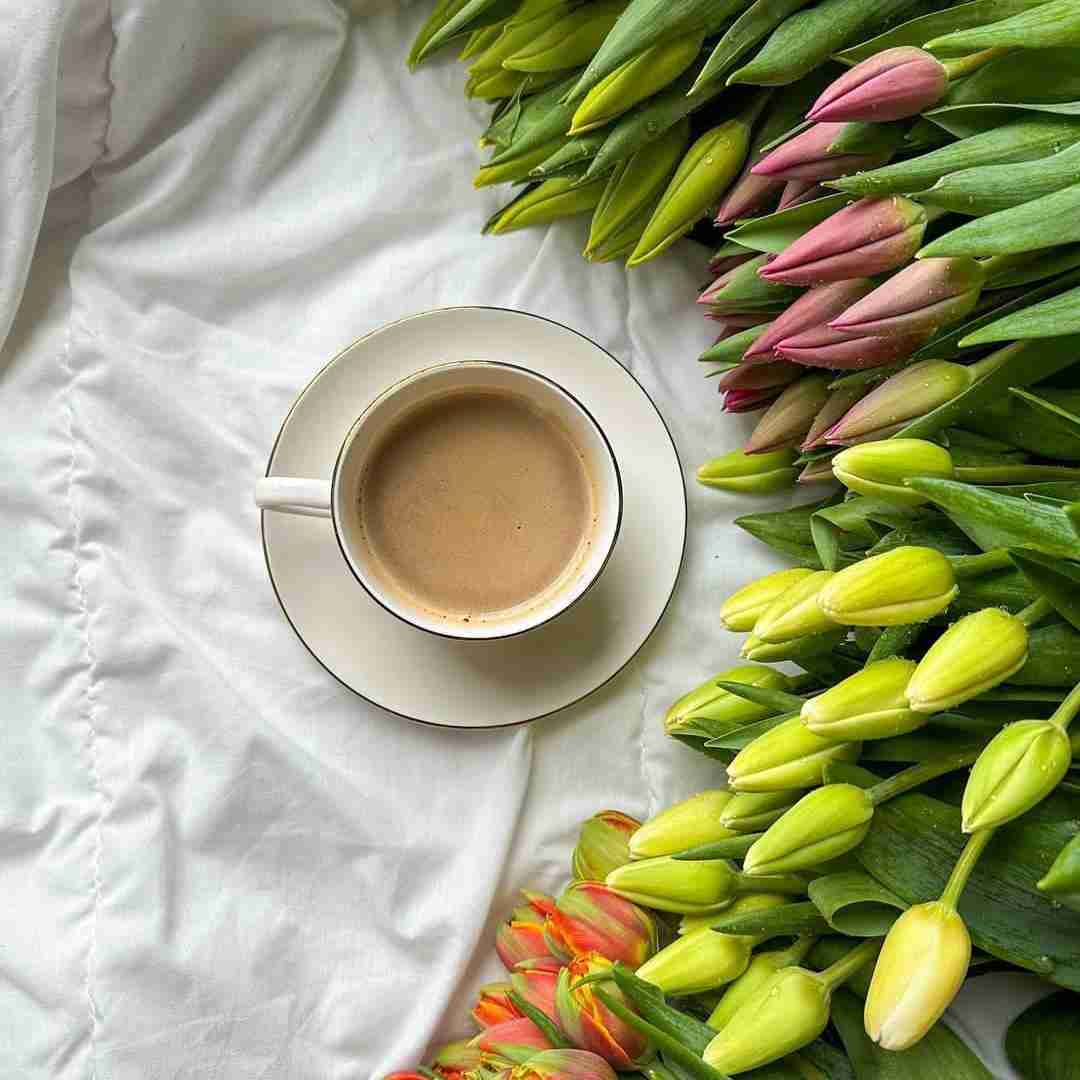 دانلود آهنگ سنگ و زدم به تیشه دوستت دارم همیشه تپلی ریزه میزه 