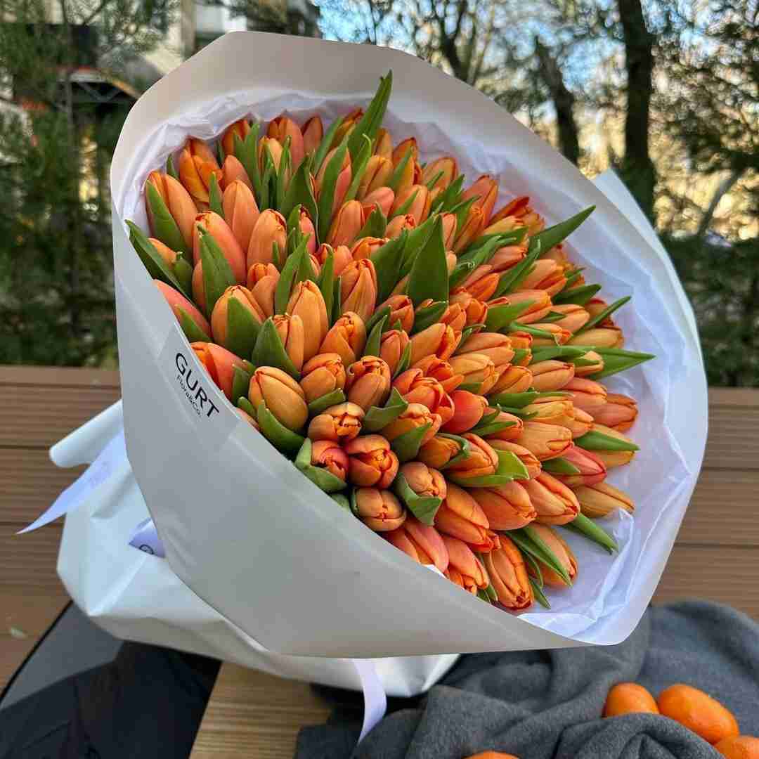 دانلود آهنگ امیدم وه دست دامه حکمم طناب اعدامه