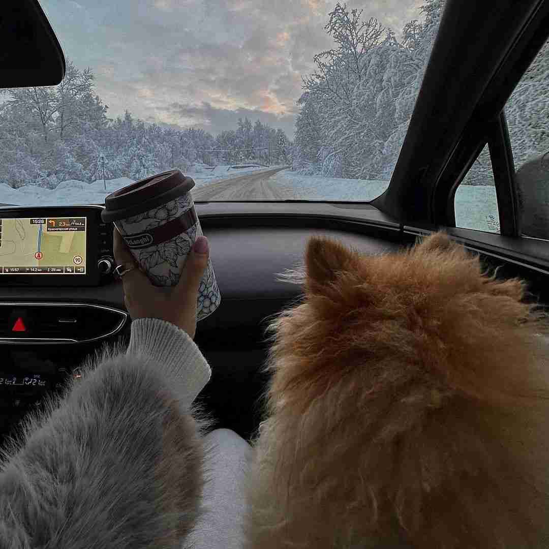 دانلود آهنگ چه شبایی که من تا صبح رو برجک گریه کردم