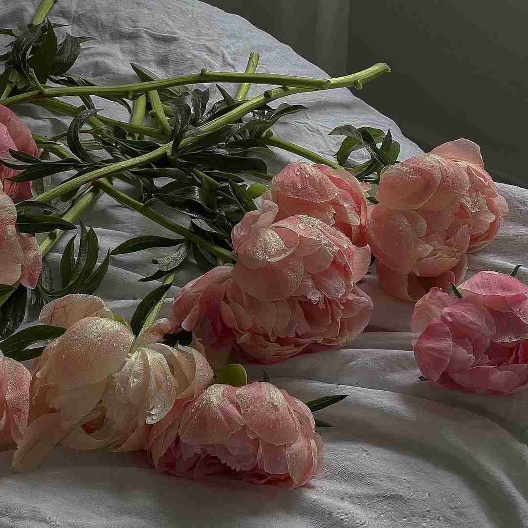 دانلود آهنگ آقای احمدی اومده با کوییک دم در