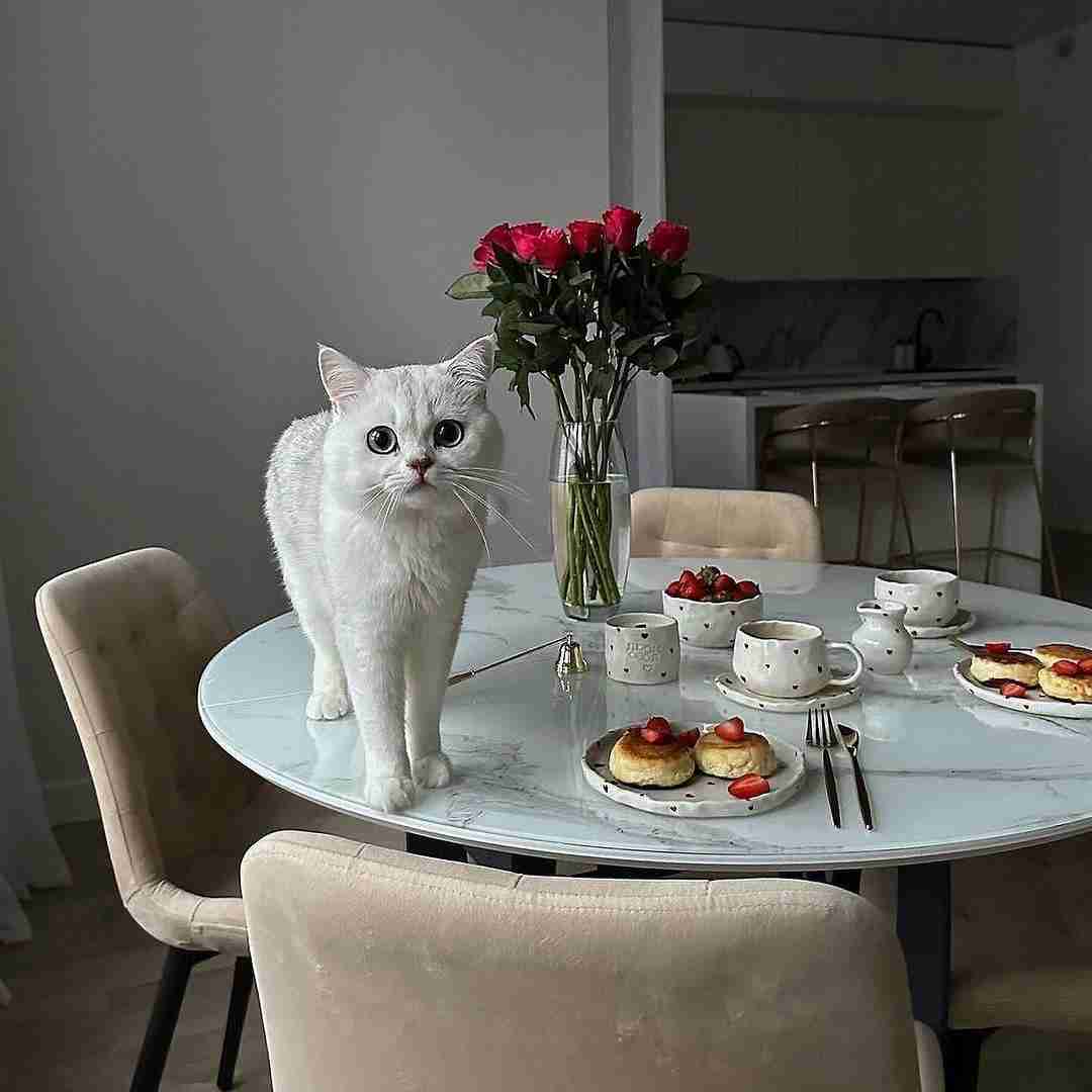 دانلود آهنگ داغون داغونم بیو دردت و من جونم بیو 