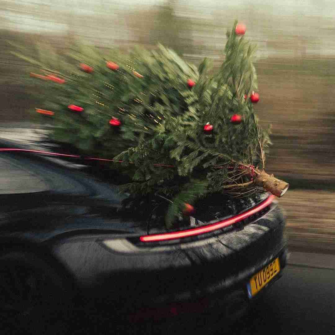 دانلود آهنگ سوسن خانوم یه دونه باشه کفش های سفید پاشه