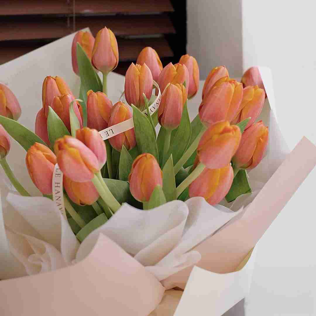 دانلود آهنگ به خودم اصلا فکر نکردم و رو مخدرا هی گریه کردم