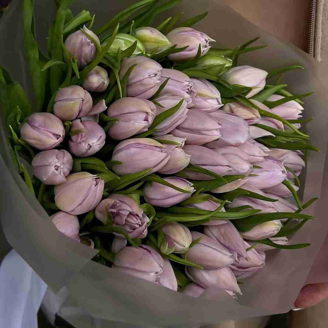 دانلود آهنگ فکتاتون دروغه فکتاتون دروغه نیاین پس فردا بگین گروه سروده 