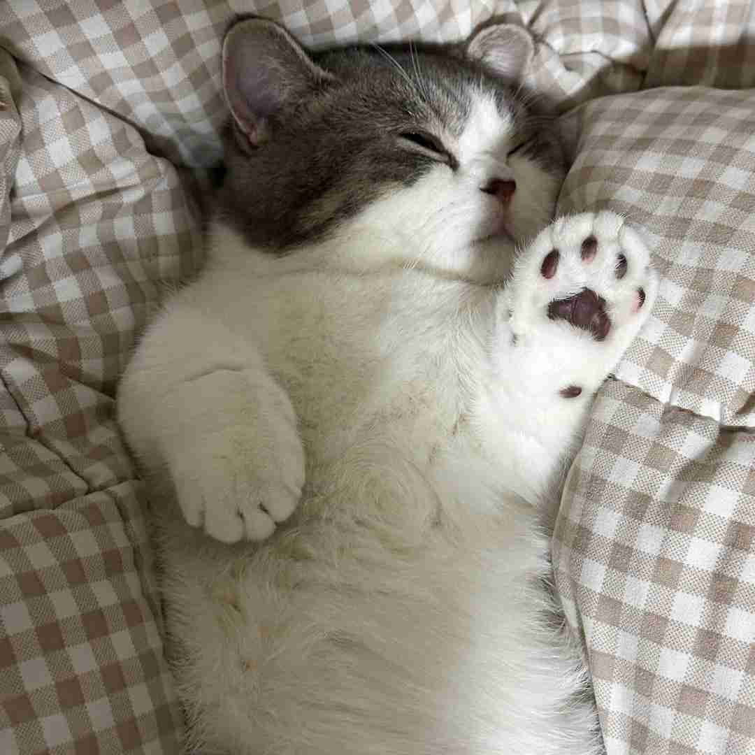 دانلود آهنگ منم اون عاشق ساده که به عشق تو اسیره 