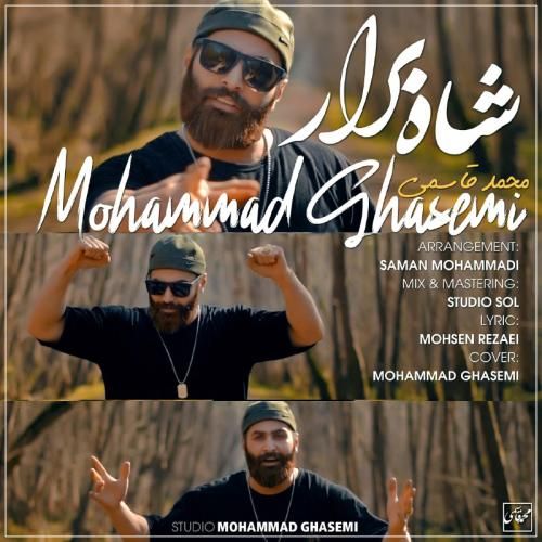 دانلود آهنگ شاه برار محمد قاسمی
