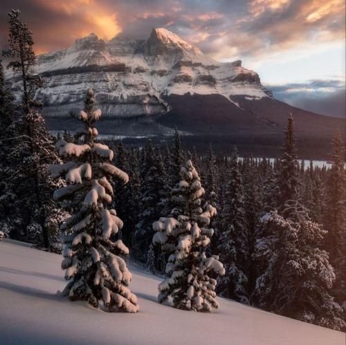 دانلود آهنگ دلم خینه از غم دیریت با صدای زن 