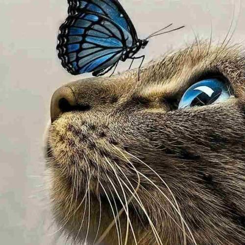 دانلود آهنگ به این پی بردم دل تو سنگ بود ولی برعکس دل من تنگه