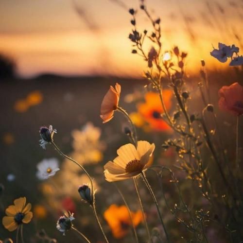 دانلود آهنگ تک ستاره ی آسمونم چراغ خونم مگه میشه بی تو بمونم 