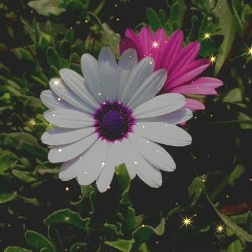 دانلود آهنگ با من قدم بزن من هوای تورو روح صبحمی جاده عبورمی