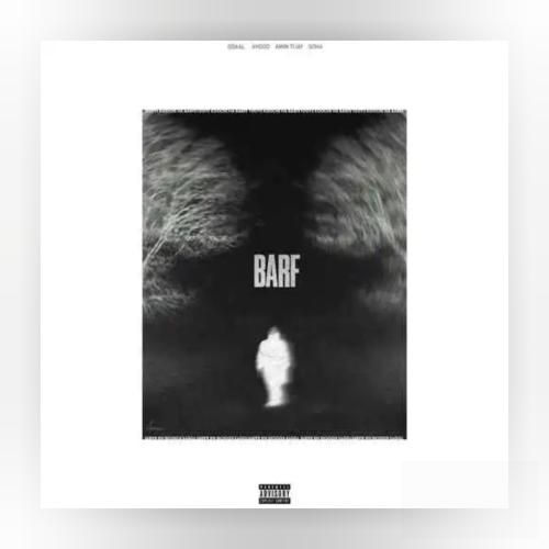 دانلود آهنگ برف جیدال و امین تیجی