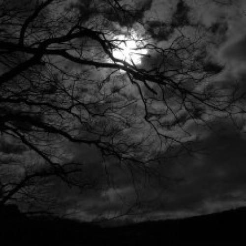 دانلود آهنگ از تو گله ای نی طبیعت آدما اینه ترند اینستایی 