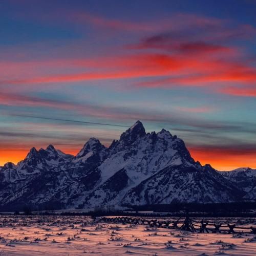 دانلود آهنگ بار هلو همیشه به موقع میرسه به تو نمیرسه 