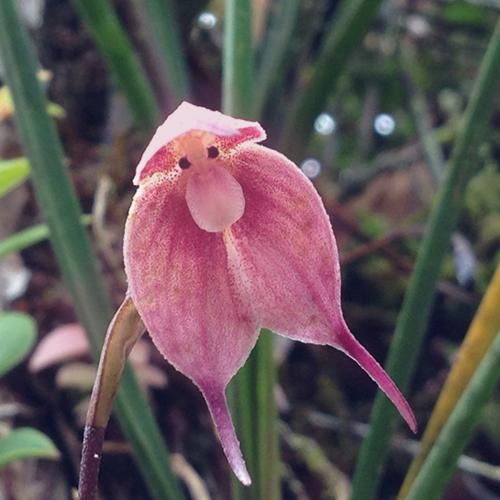 دانلود آهنگ ندانم ندانی کجایم کجایی کجایی گمونم به کام تو هم ریخته