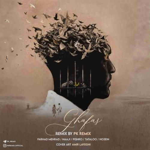 دانلود ریمیکس قفس پی کی ریمیکس