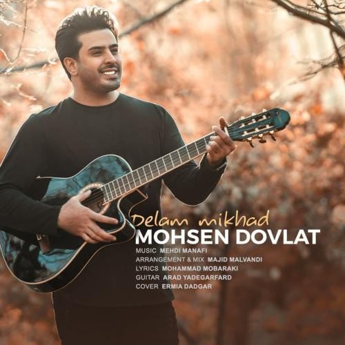 دانلود آهنگ دلم میخواد محسن دولت
