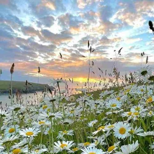 دانلود آهنگ تو چرا دروغ گفتی رفتی بی وفا خدارو قسم دادی 