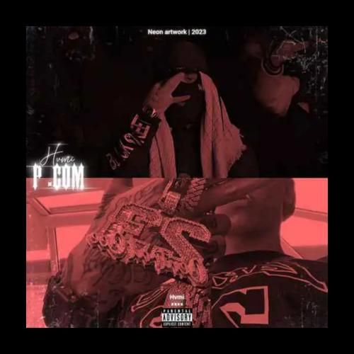 دانلود آهنگ پی دات کام حامی