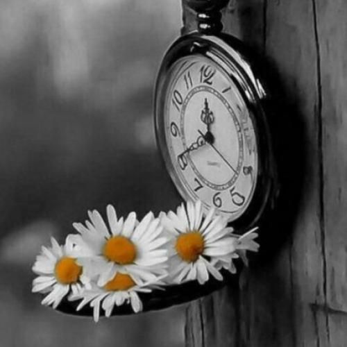 دانلود آهنگ توی قلب کوچیکم جاتو محکم میکنم تا به تو اضافه شه با صدای عقیلی 