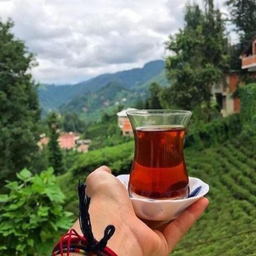 دانلود آهنگ با تو باید دل به دریا زد جای دیوانه مرا جا زد با صدای زن 