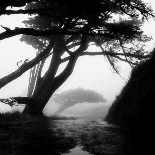 دانلود ریمیکس نوازش رضا