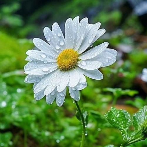 دانلود آهنگ تیر خلاصی تو مغزت شم از خودم عزیز تری برام بگو انجام بدم 